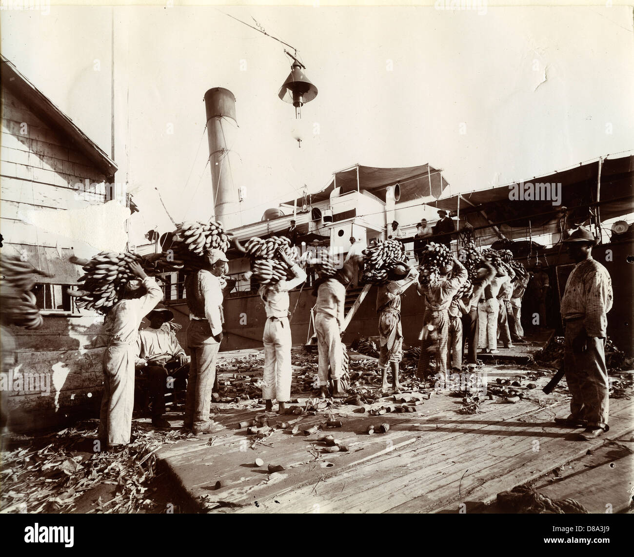 Loading Bananas, Port Antonio, Jamaica, ca 1890, by A. Duperly & Sons Stock Photo