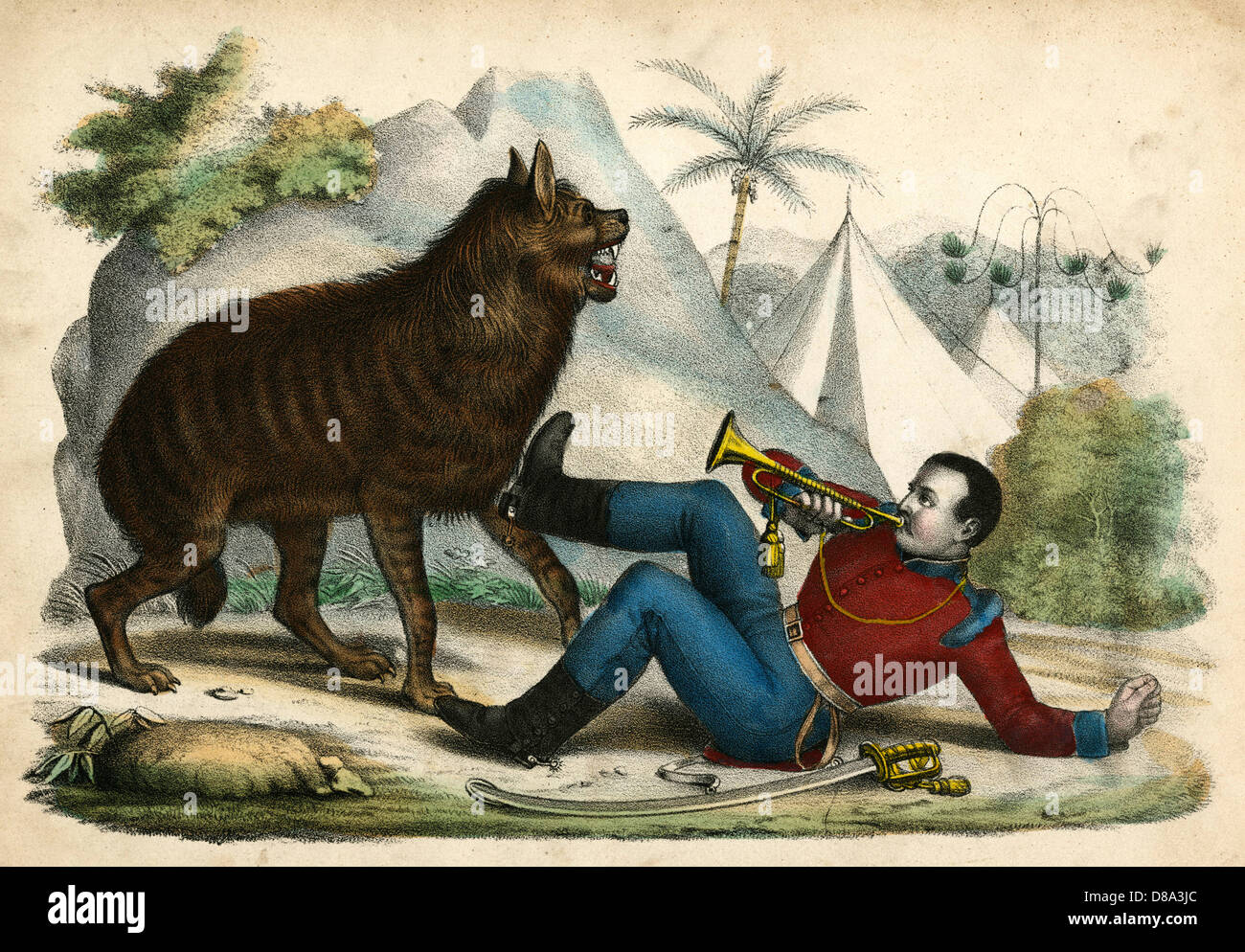 HYENA / SENTRY CALL 1845 Stock Photo - Alamy