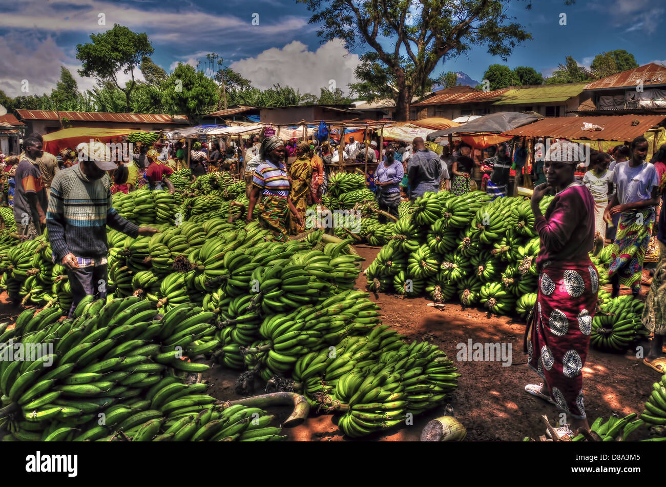 Banana Market in Kilimanjero area, Tanzania Stock Photo