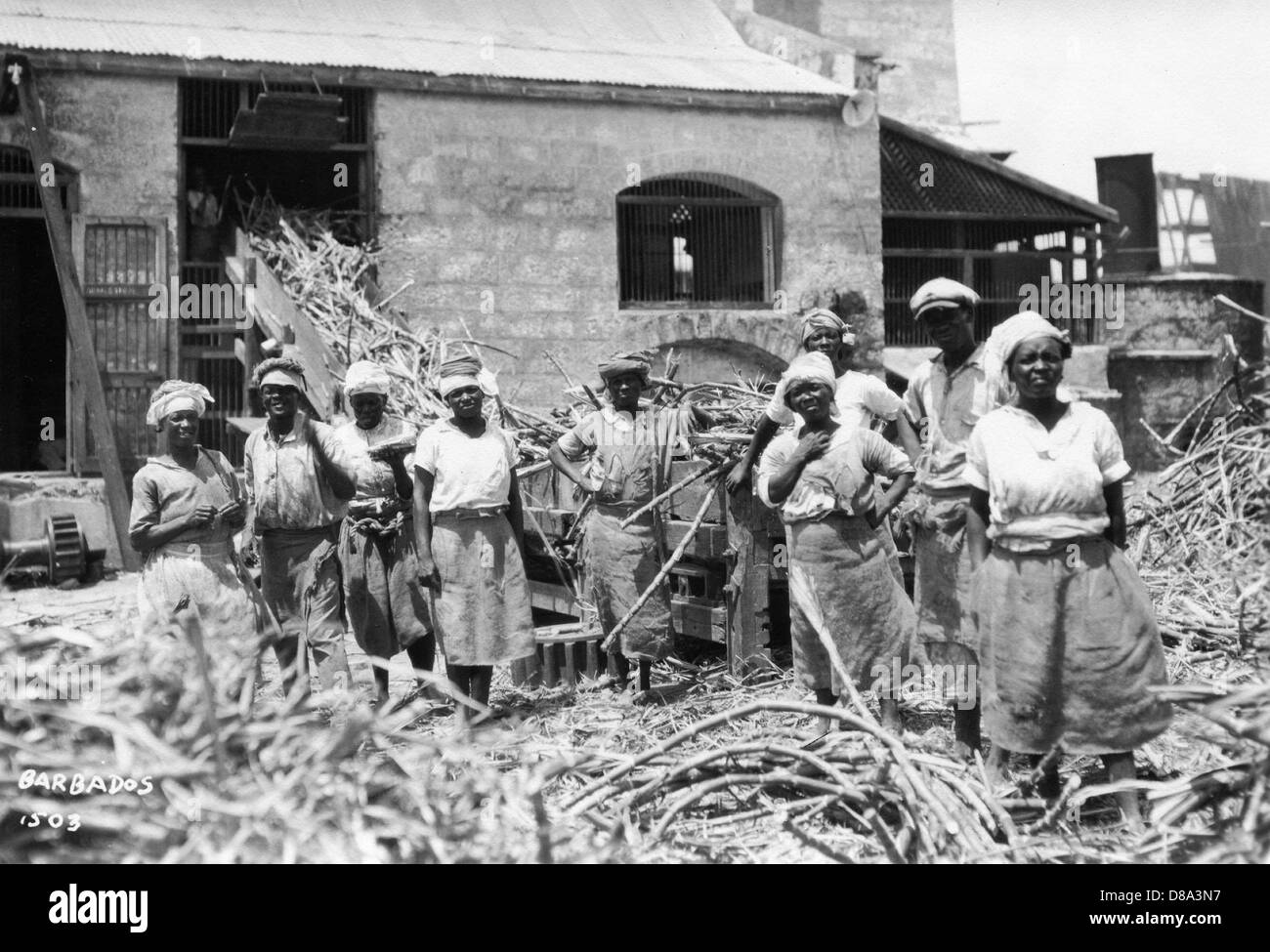 Sugar Cane Workers, Barbados, ca 1900 Stock Photo