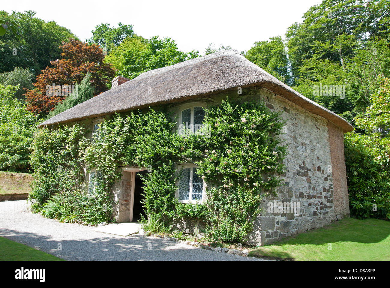 a thatched roof cottage in a woodland setting, england, uk Stock Photo