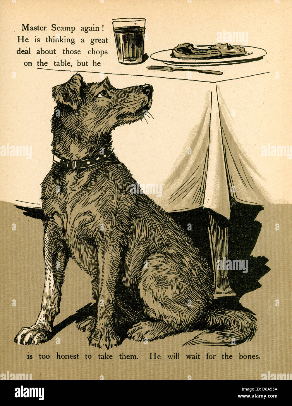 DOG AND FOOD SMELLS Stock Photo Alamy