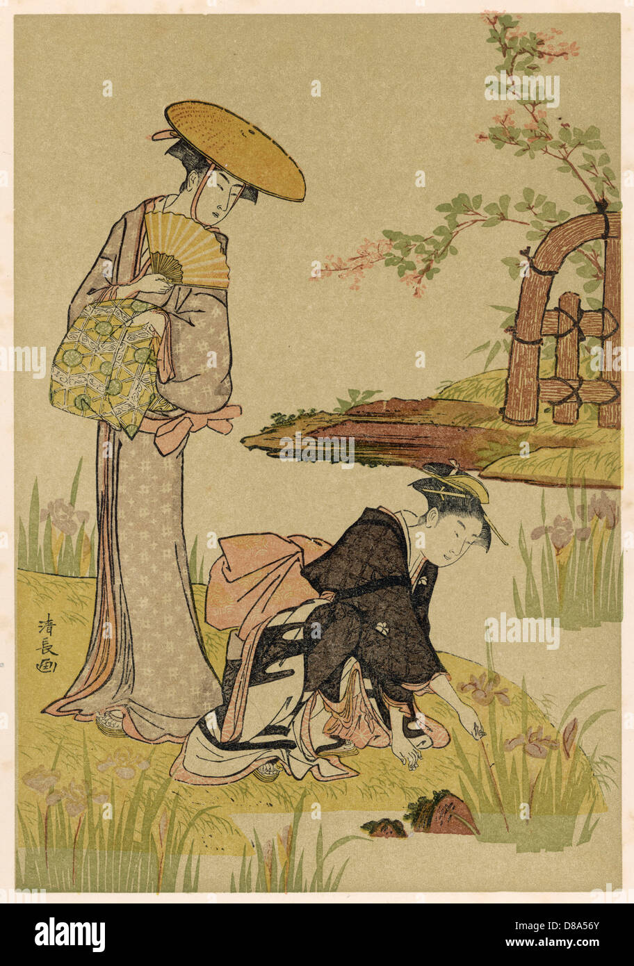 GARDENS/IRIS JAPAN 1908 Stock Photo