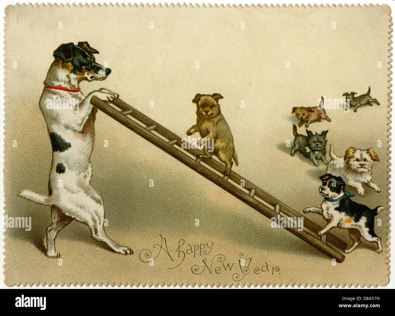 DOGS AND LADDER Stock Photo Alamy