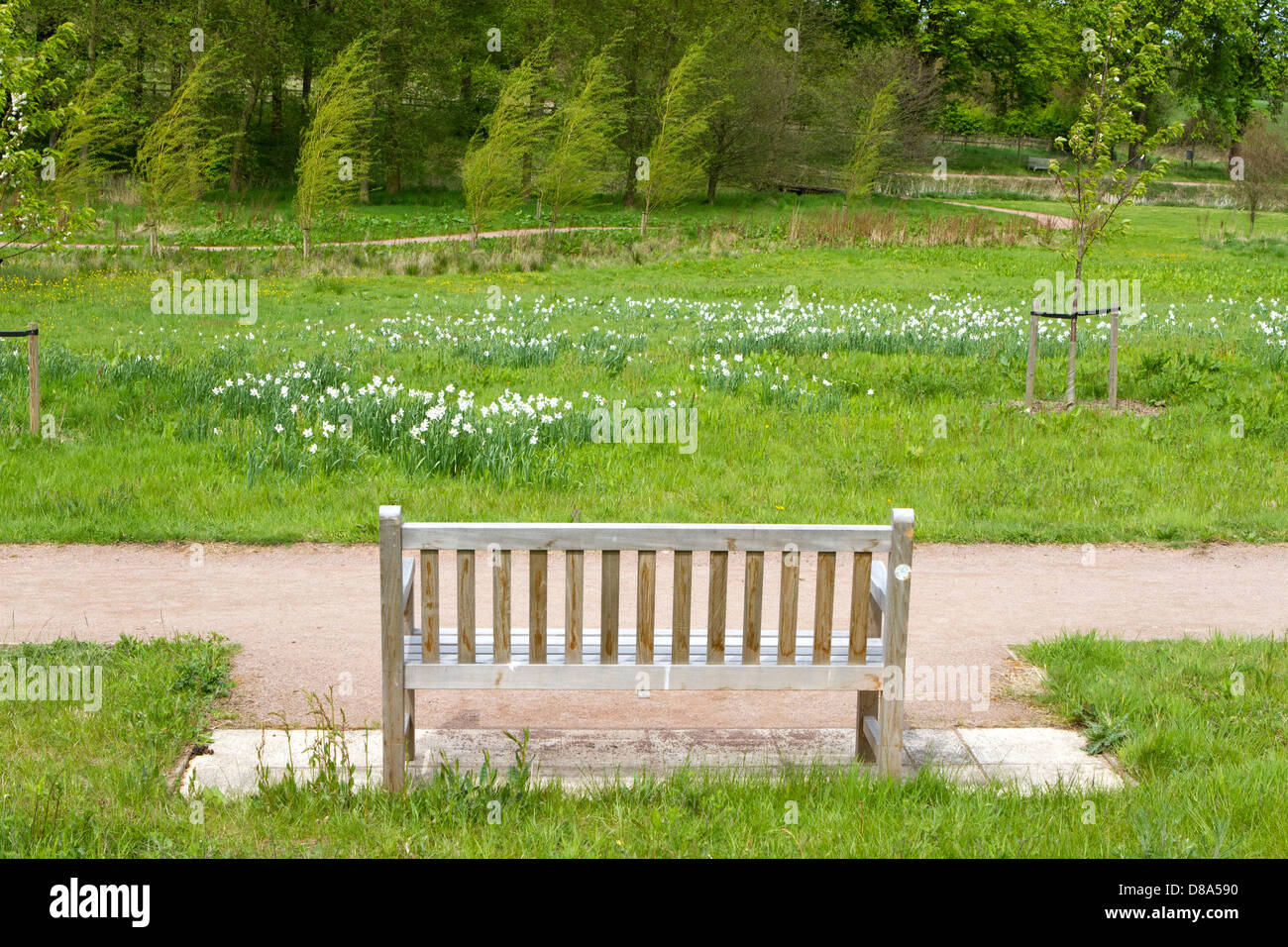 bench in an English Countryside scene Stock Photo
