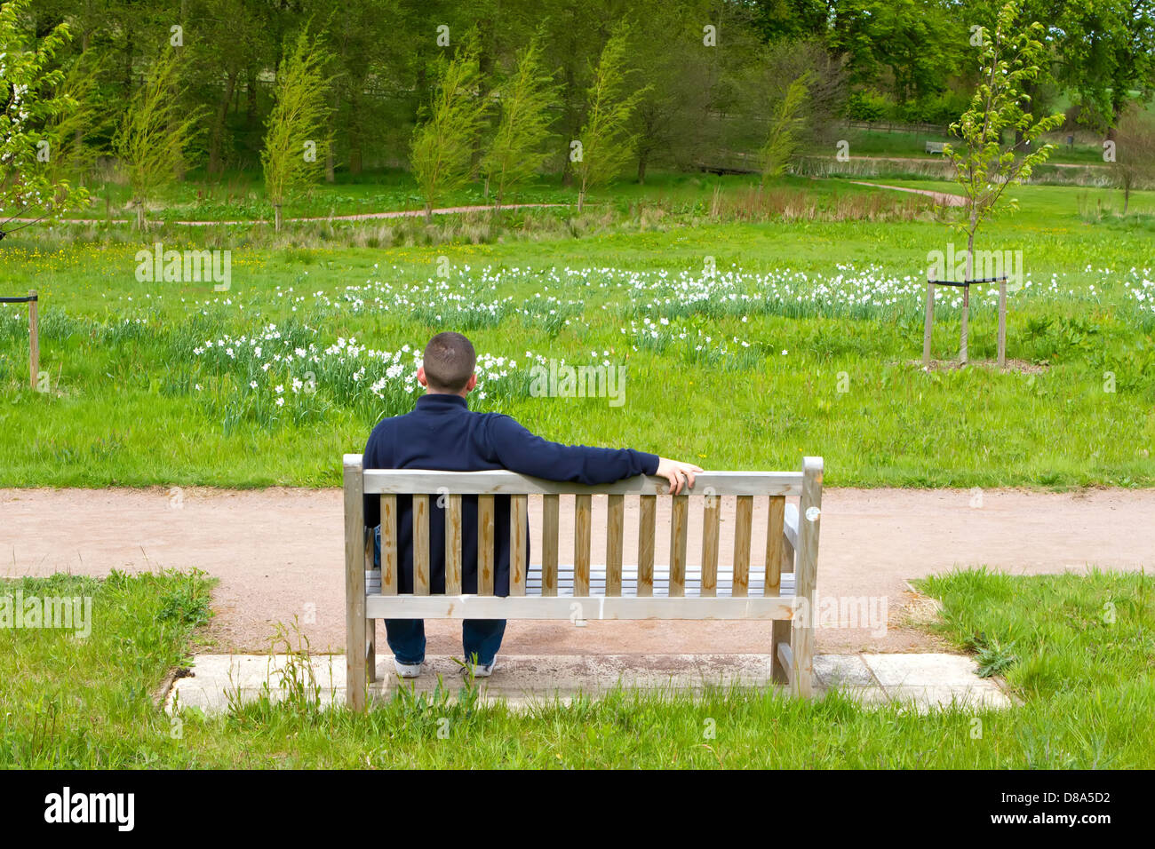 man sitting on a bench in a countryside scene Stock Photo