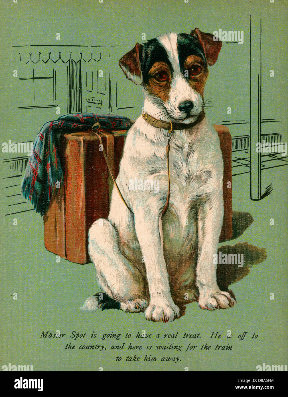 Dog and Luggage Stock Photo Alamy