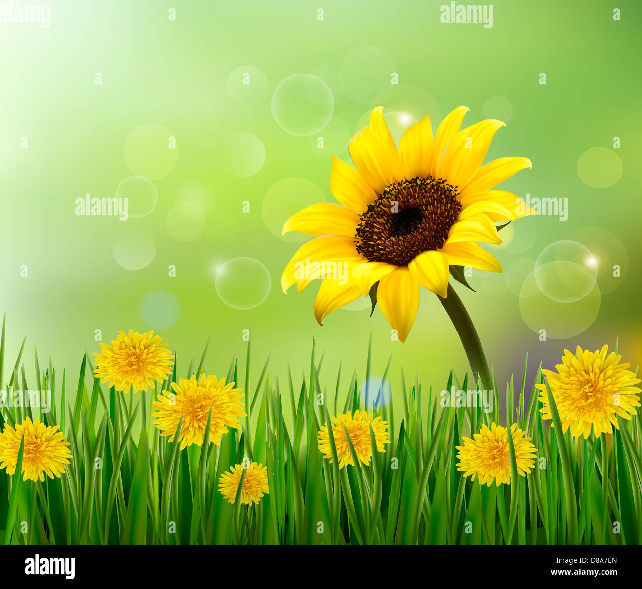 Summer background with yellow flowers and grass. Vector Stock Photo - Alamy