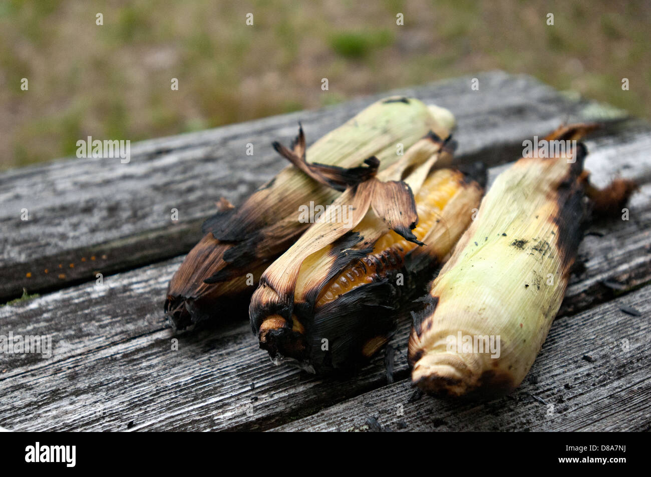 Fire roasted corn on the cob Stock Photo Alamy