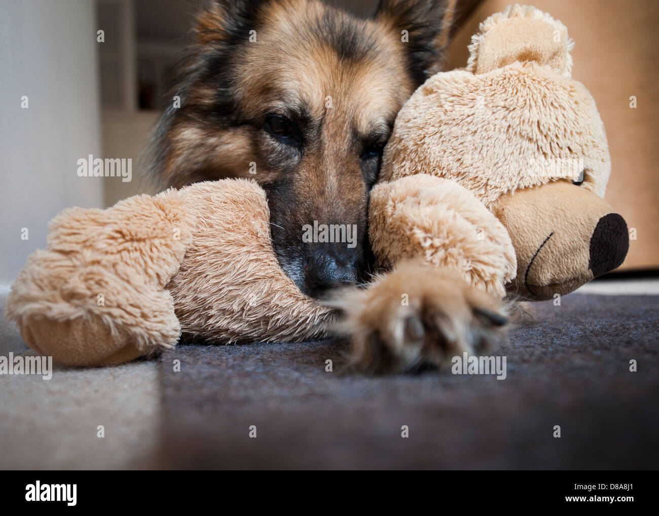 german shepherd soft toy