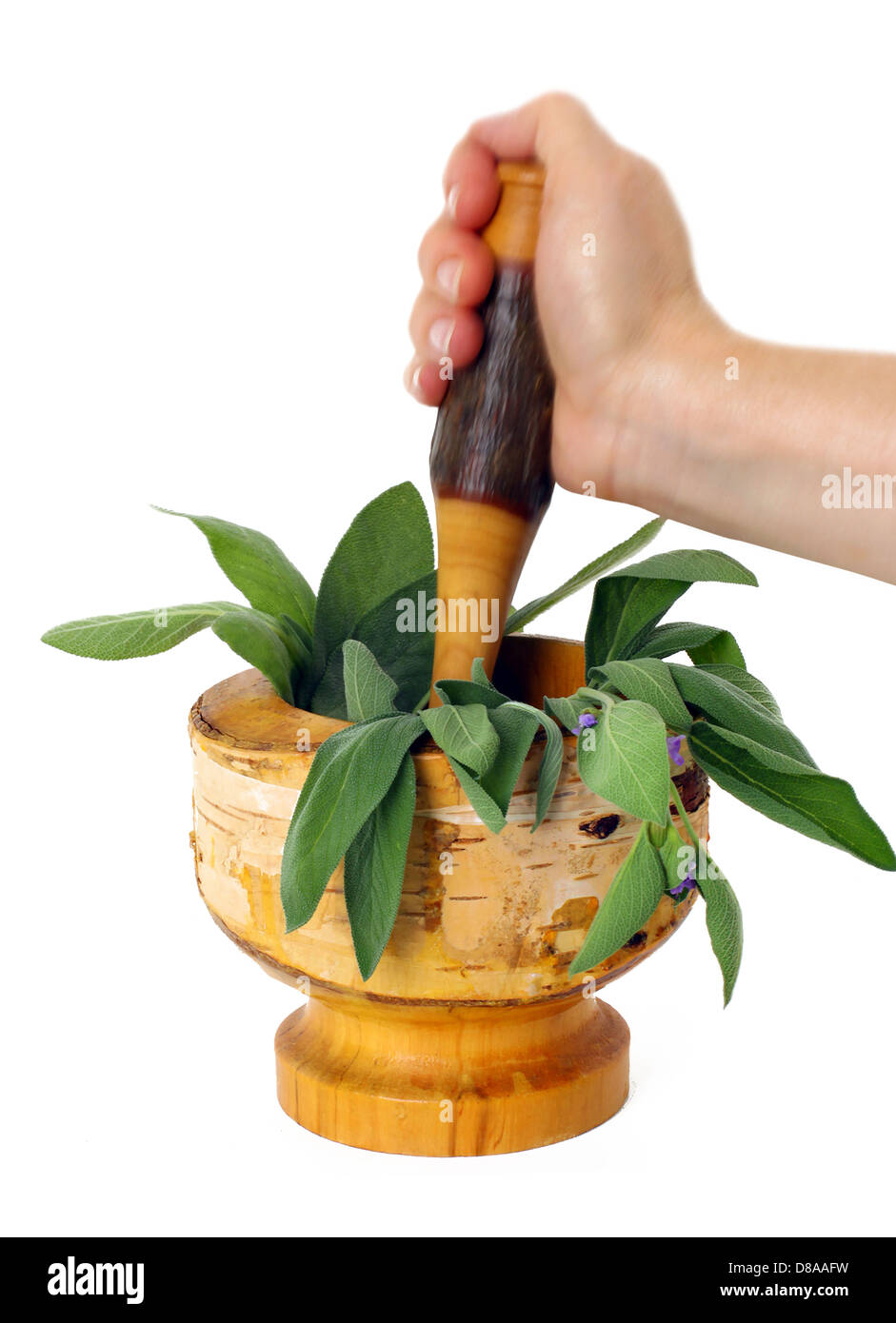 Healing herbs and edible flowers with mortar and pestle Stock Photo Alamy