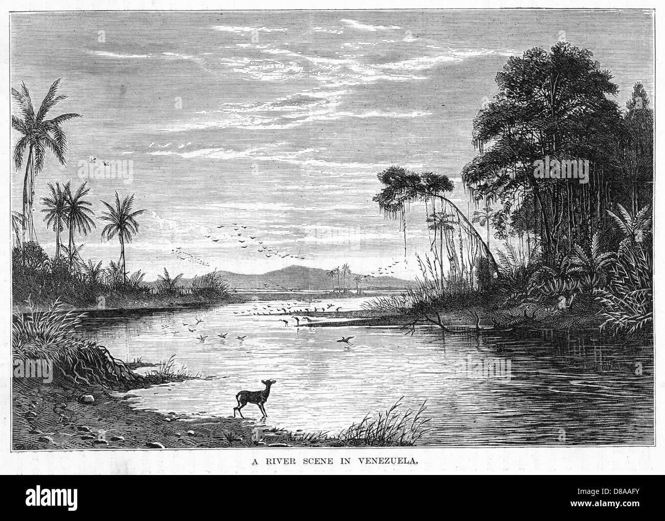 Dibujo para colorear de Brasil para el Carnaval de Río Descargar o Imprimir  de forma gratuita, image size:1300x1019