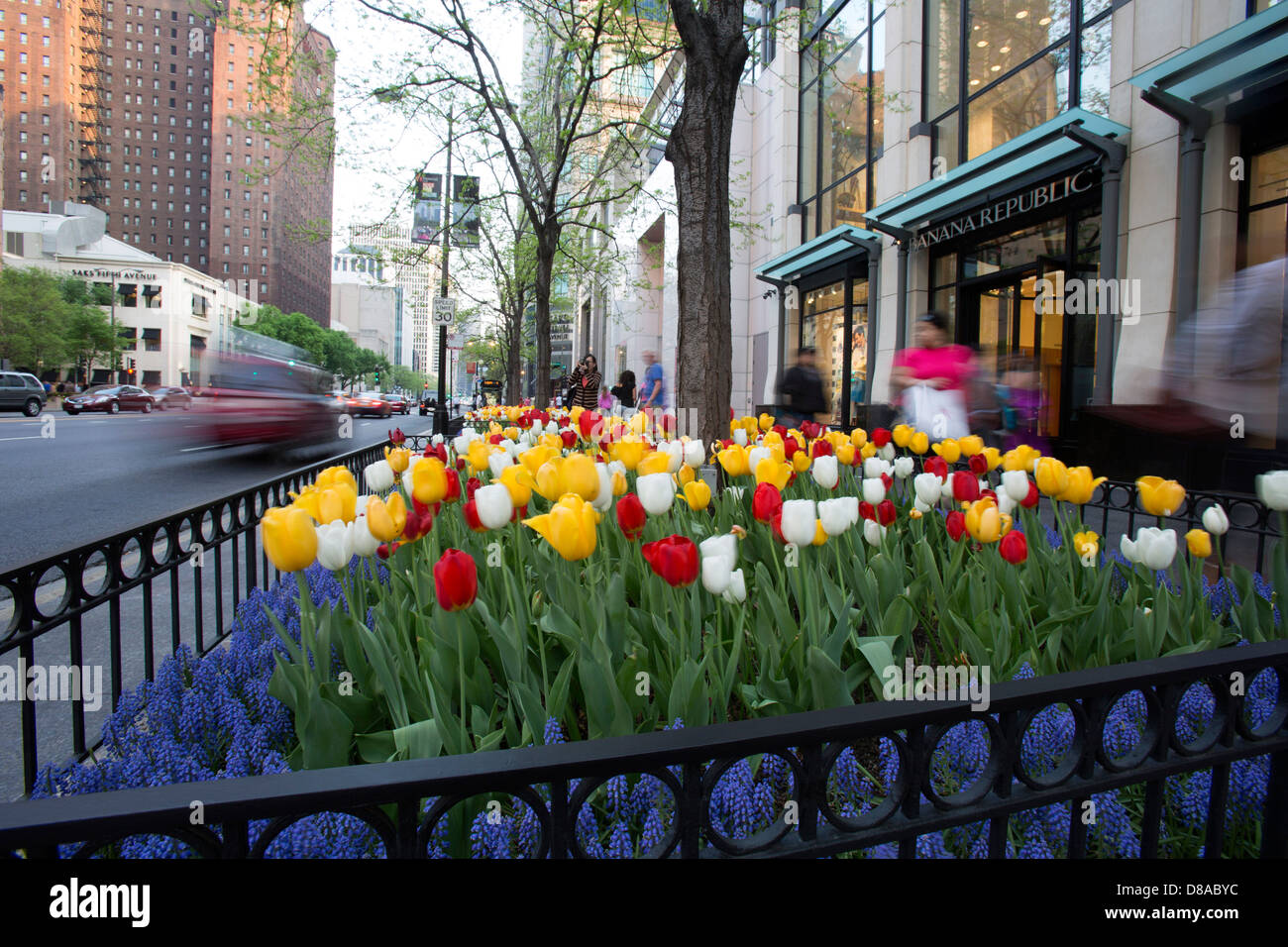 view of michigan avenue magnificent mile chicago during spring tulip season walking shopping in spring summer shoppers Stock Photo