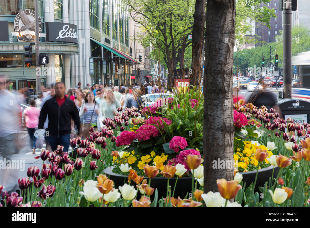 shoppers on michigan avenue magnificent mile chicago walking window shopping in the spring summer season with tulips flowers Stock Photo