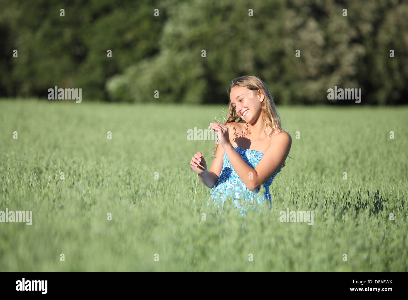 Beautiful teenager girl holding and touching a oat stem in the middle of a green oat meadow Stock Photo