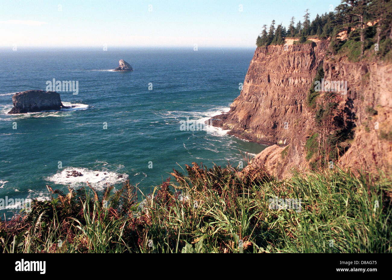 The Oregon Coast on Pacific Ocean Oregon,Oregon Coast runs north-south along rugged ocean, Pacific Ocean,waves,beach,shore,surf, Stock Photo