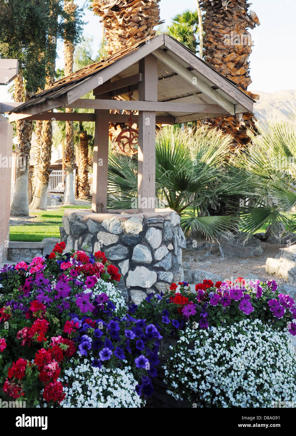 Flowers surround wishing well in Desert Hot Springs California, desert