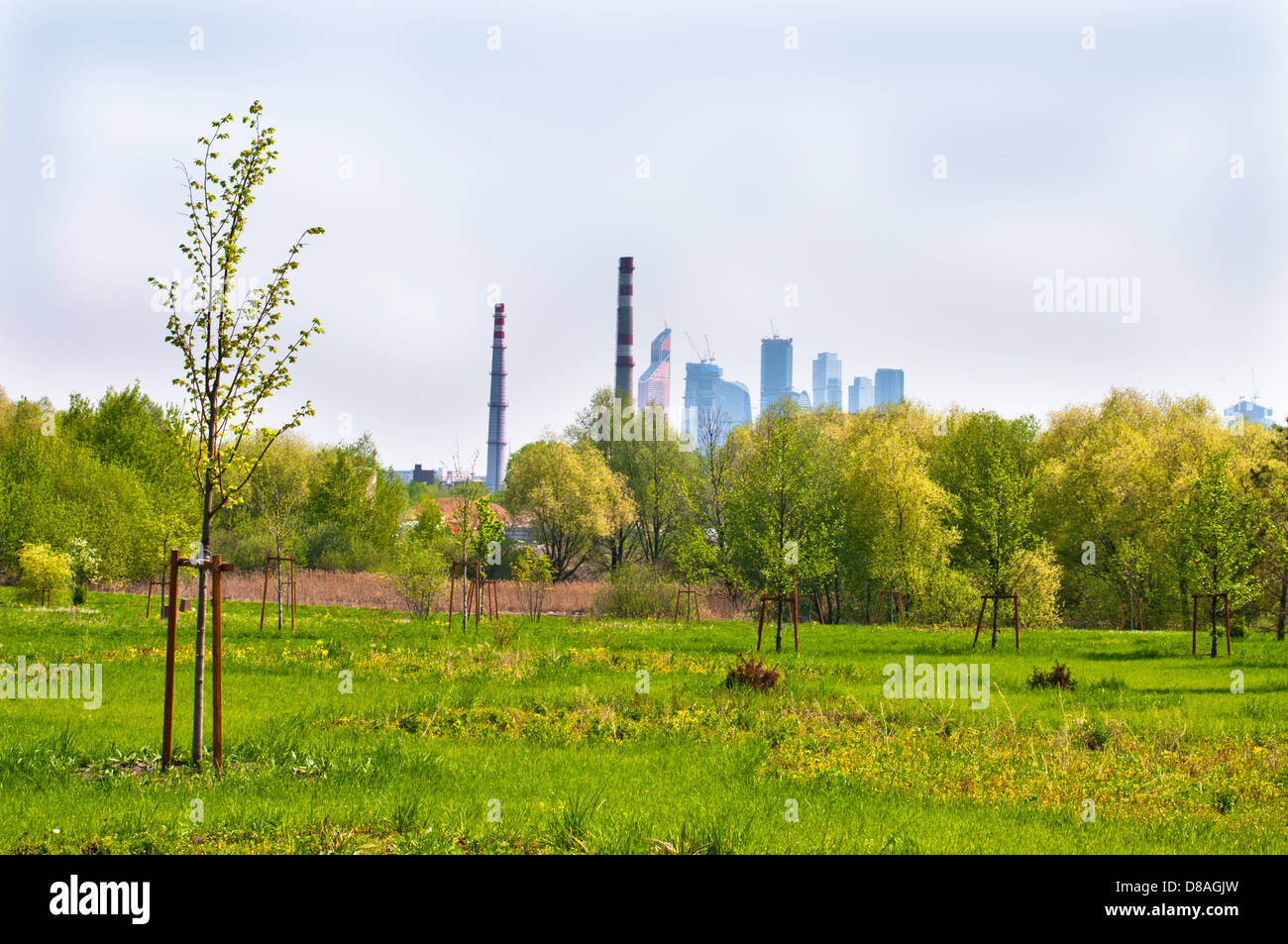 Moscow park at Mnevniki with MIBC at backgroung Stock Photo - Alamy