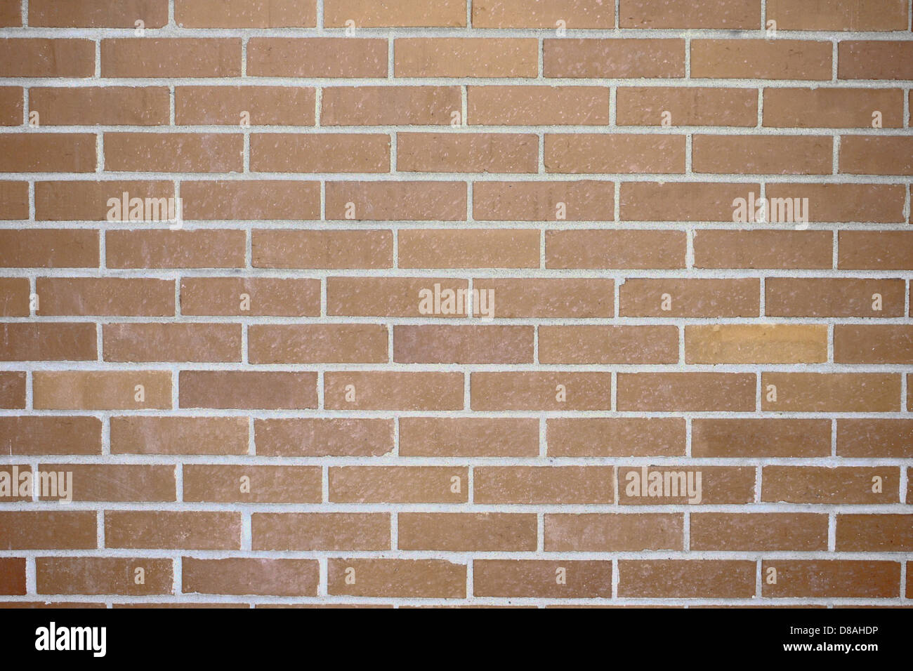Tan Building Texture A close-up of a tan brick wall texture, showcasing the detailed pattern ...