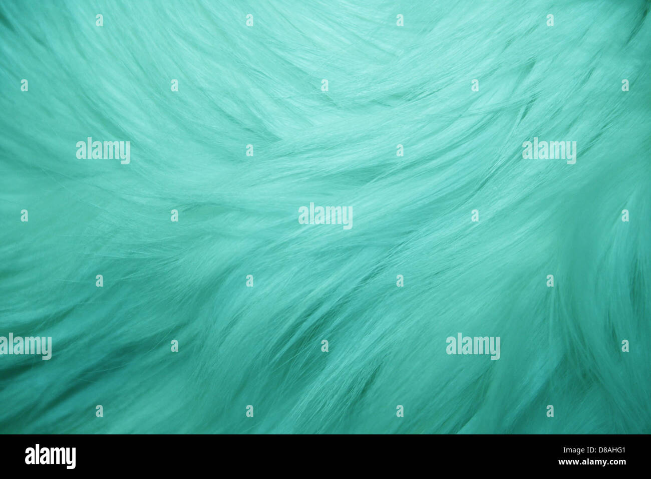 teal fur texture. Stock Photo