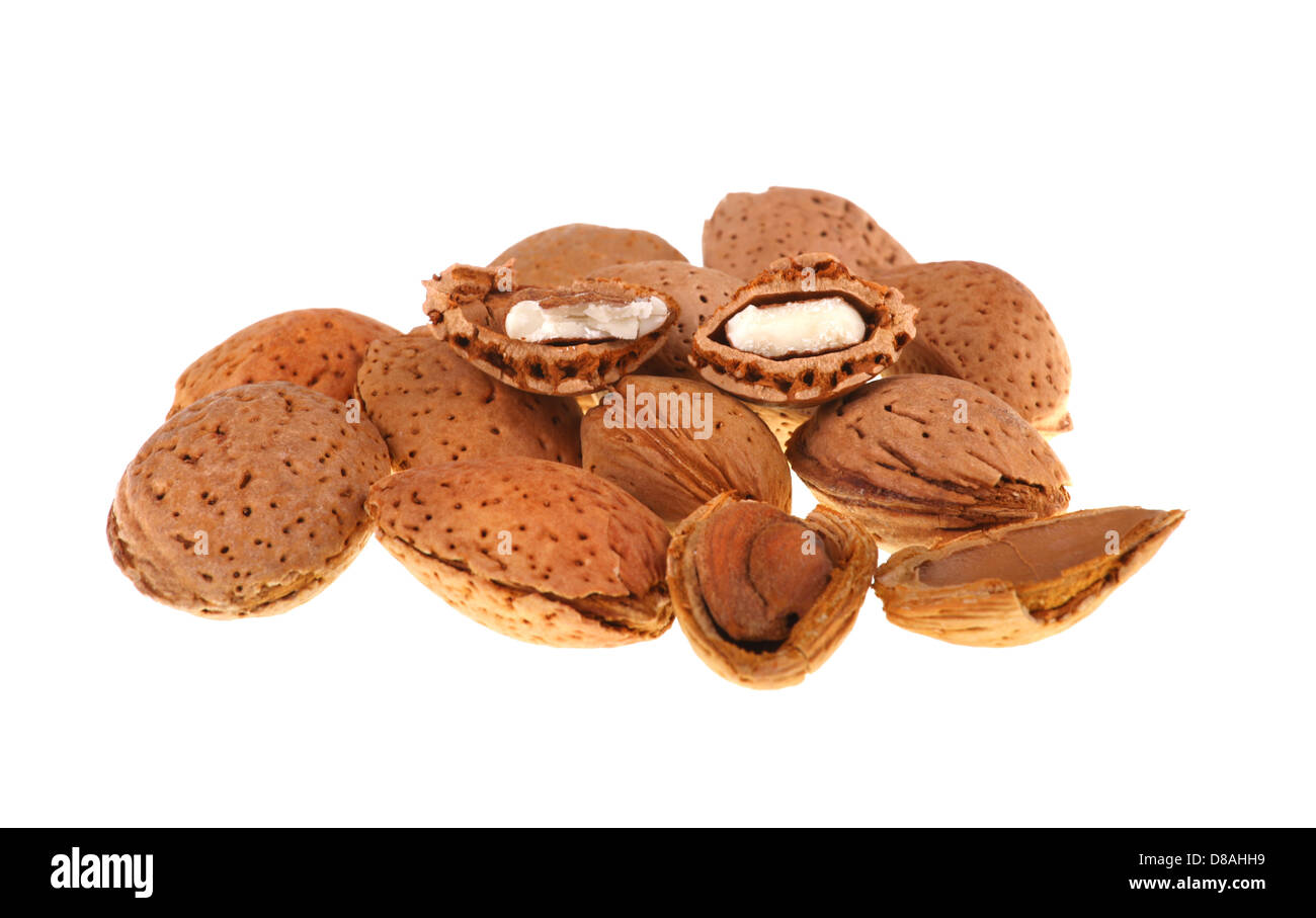 Almond isolated on white background Stock Photo - Alamy