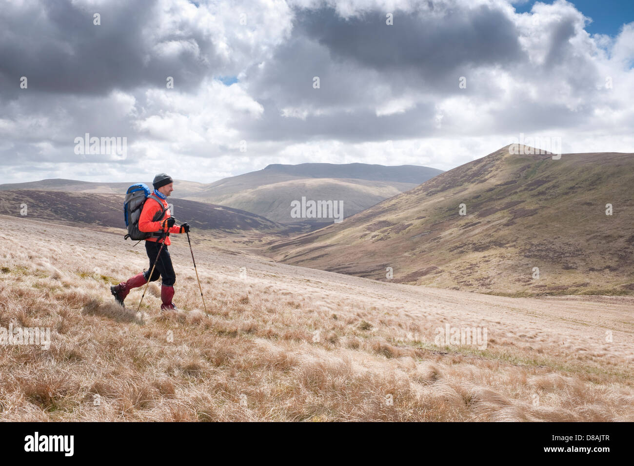 A man walking on the Northern Fells in the Lake District between Knott and Great Calva, two of the designated Wainwright summits Stock Photo