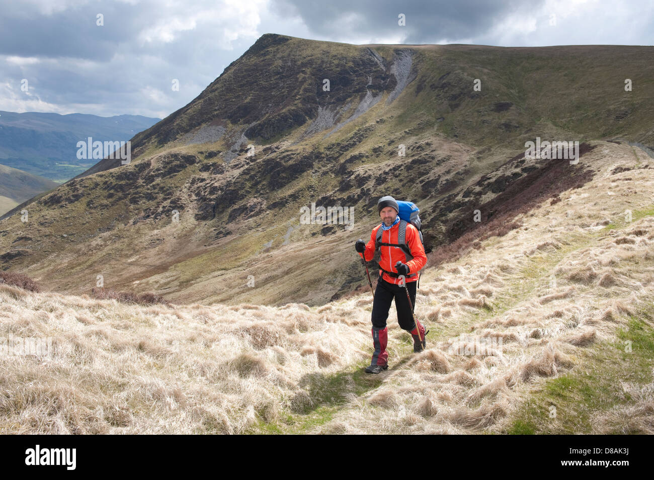 Walking on Burnt Horse Ridge, below Lonscale Fell; one of the smaller Wainwright summits flanking Skiddaw in the Lake District Stock Photo