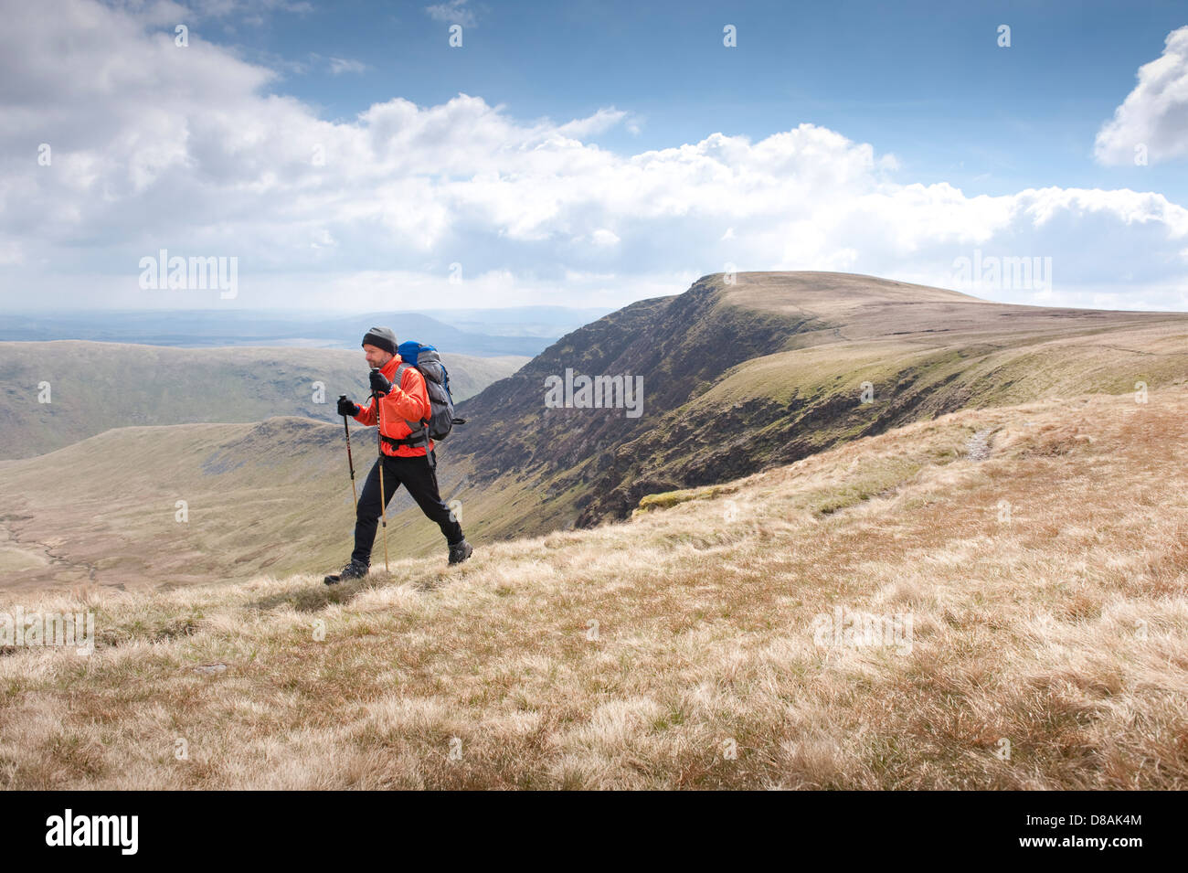 Walking along Bannerdale Crags in the Northern Fells of the English Lake District. One of the designated Wainwright summits Stock Photo