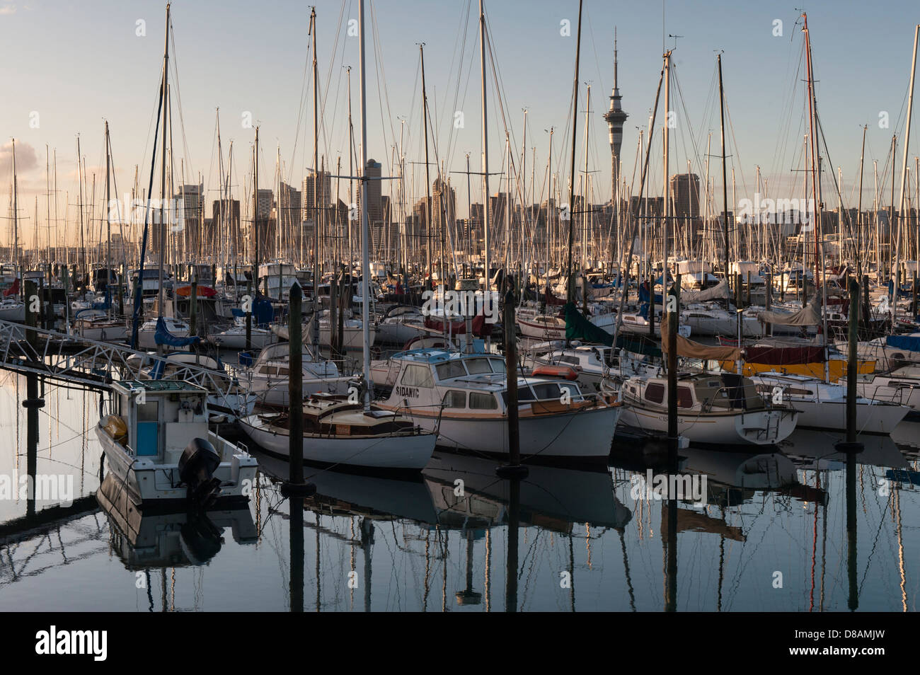 Westhaven Marina in foreground, CBD and downtown Auckland including Sky Tower in the background, at dawn Stock Photo