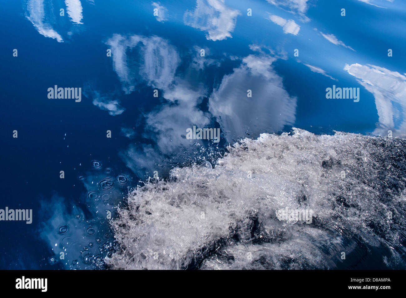 Bow wake hi-res stock photography and 