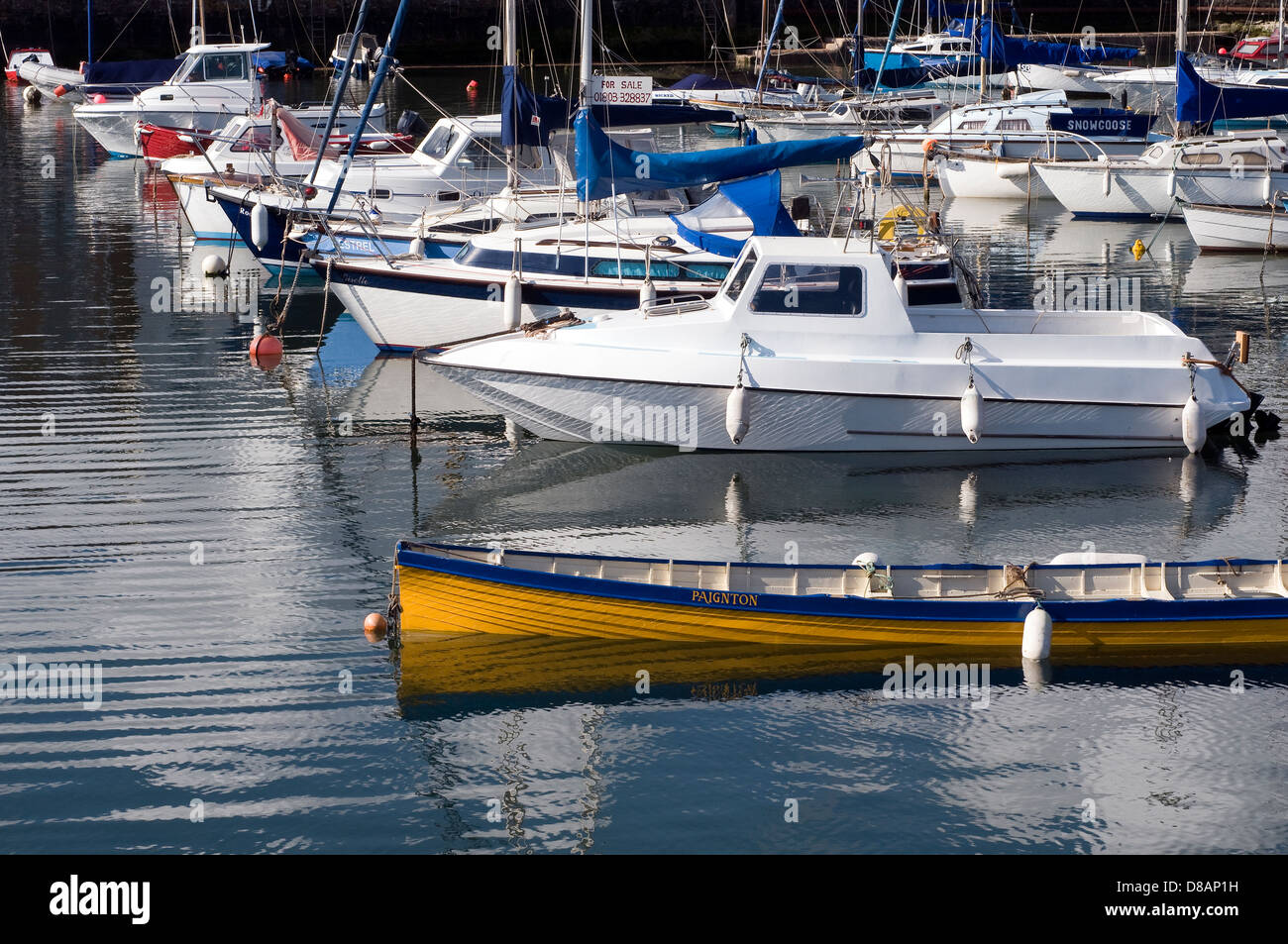 Paignton harbour,beach, dock, boating, docking, boat, lake, fishing