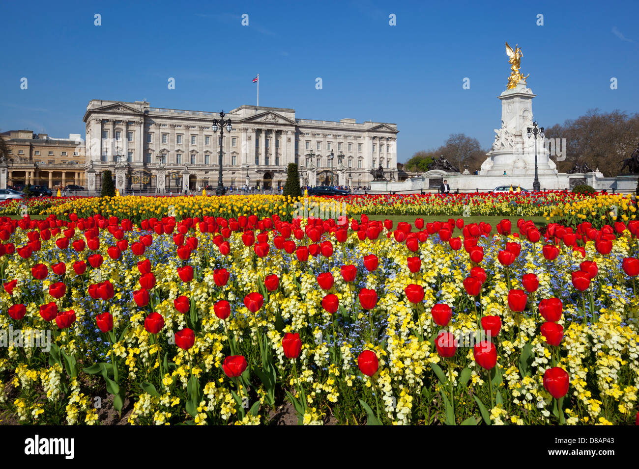 Buckingham Palace and Queen Victoria Monument with Tulips Stock Photo