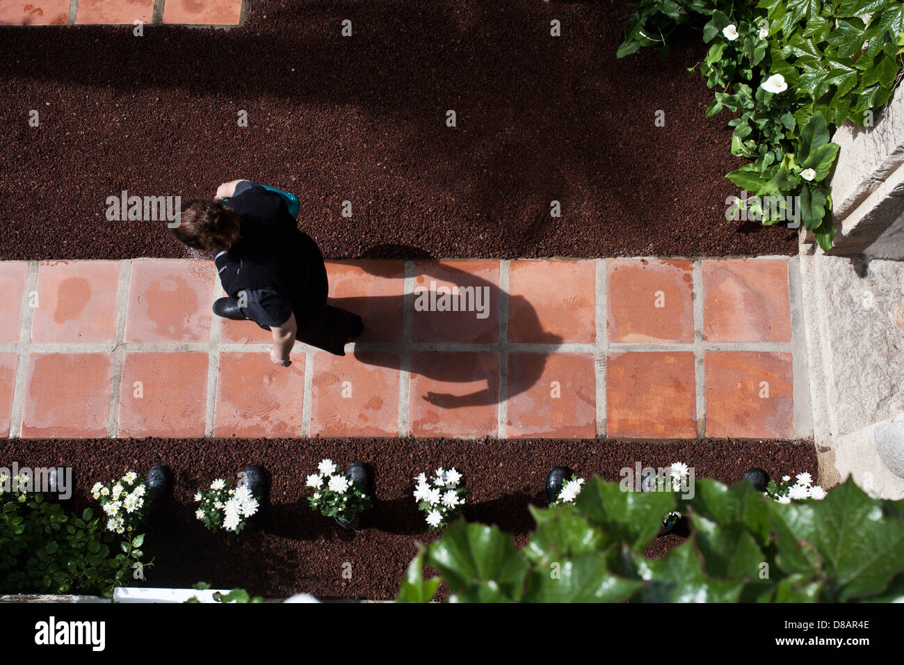 A women watering her garden during the preparatives of Temps de Flors Stock Photo