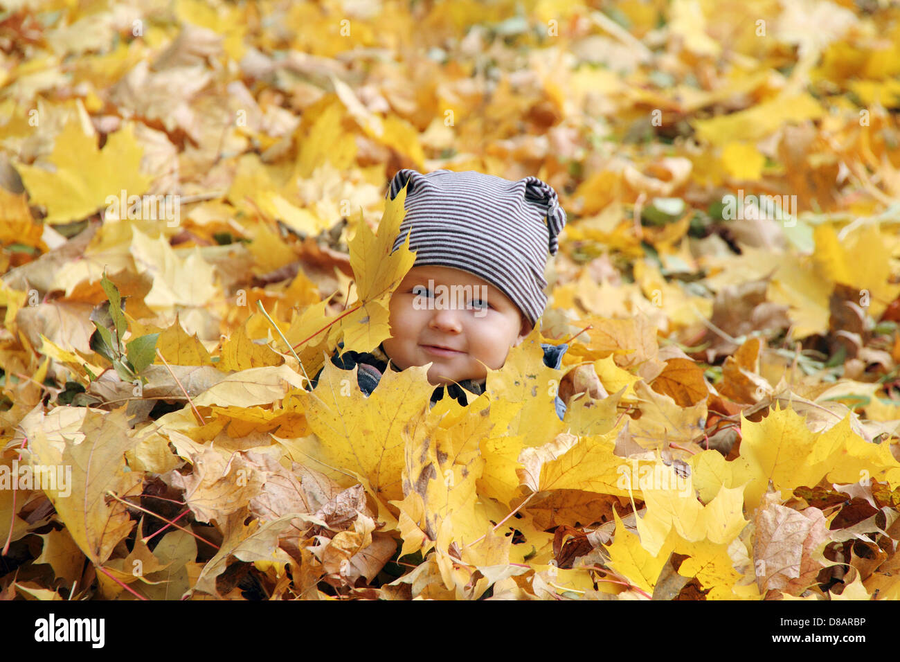 Young boy covered with autumn leaves Stock Photo - Alamy