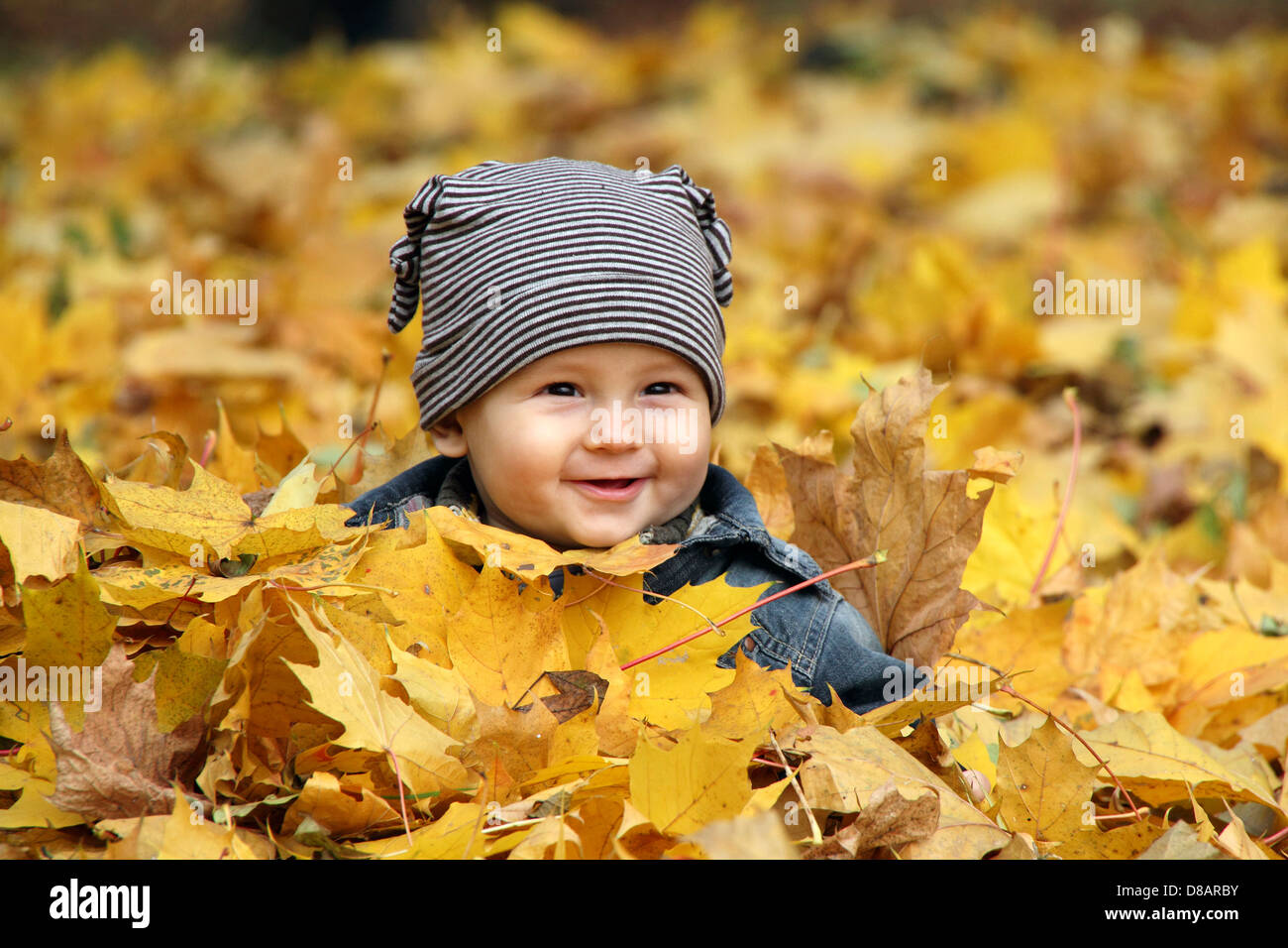 Young boy covered with autumn leaves Stock Photo - Alamy