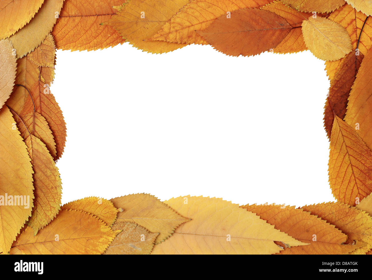 autumn frame with beautiful faded cherry leaves - white interior with space for text Stock Photo
