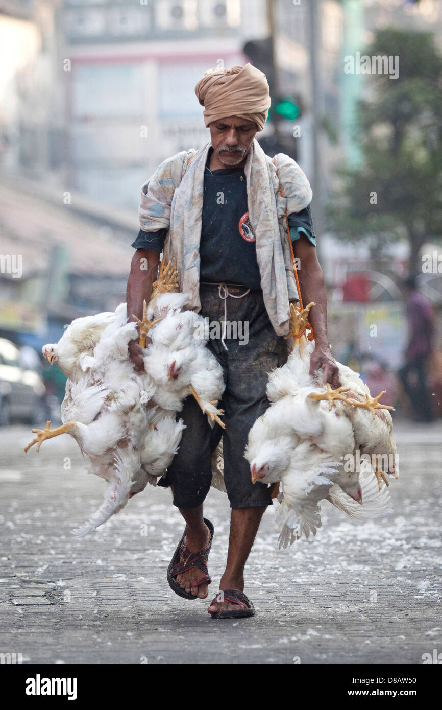 Portrait of a man in a chicken market in Mumbai, India Stock Photo