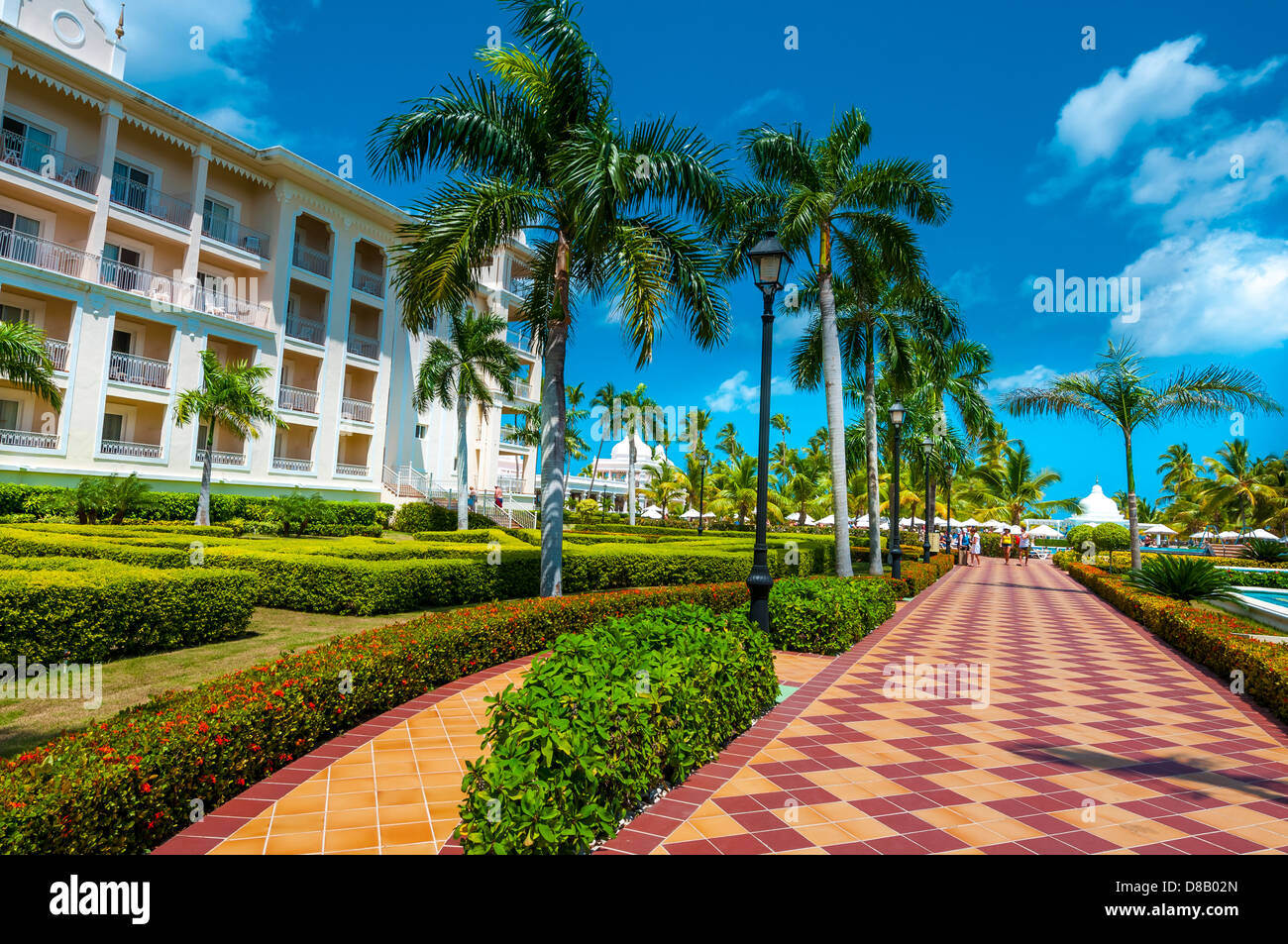 dom rep riu palace punta cana