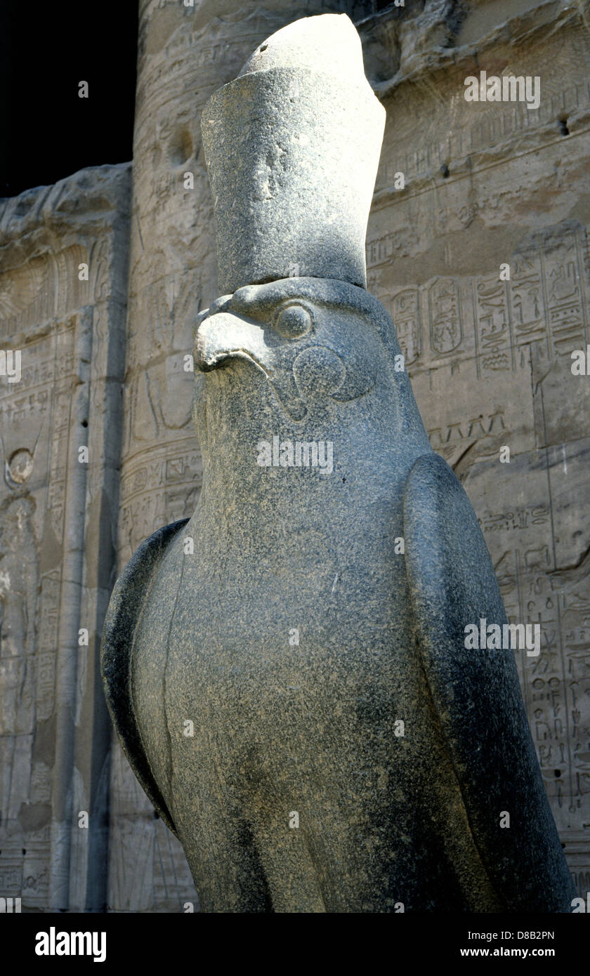 Horus statue at Edfu Temple in Egypt. Stock Photo