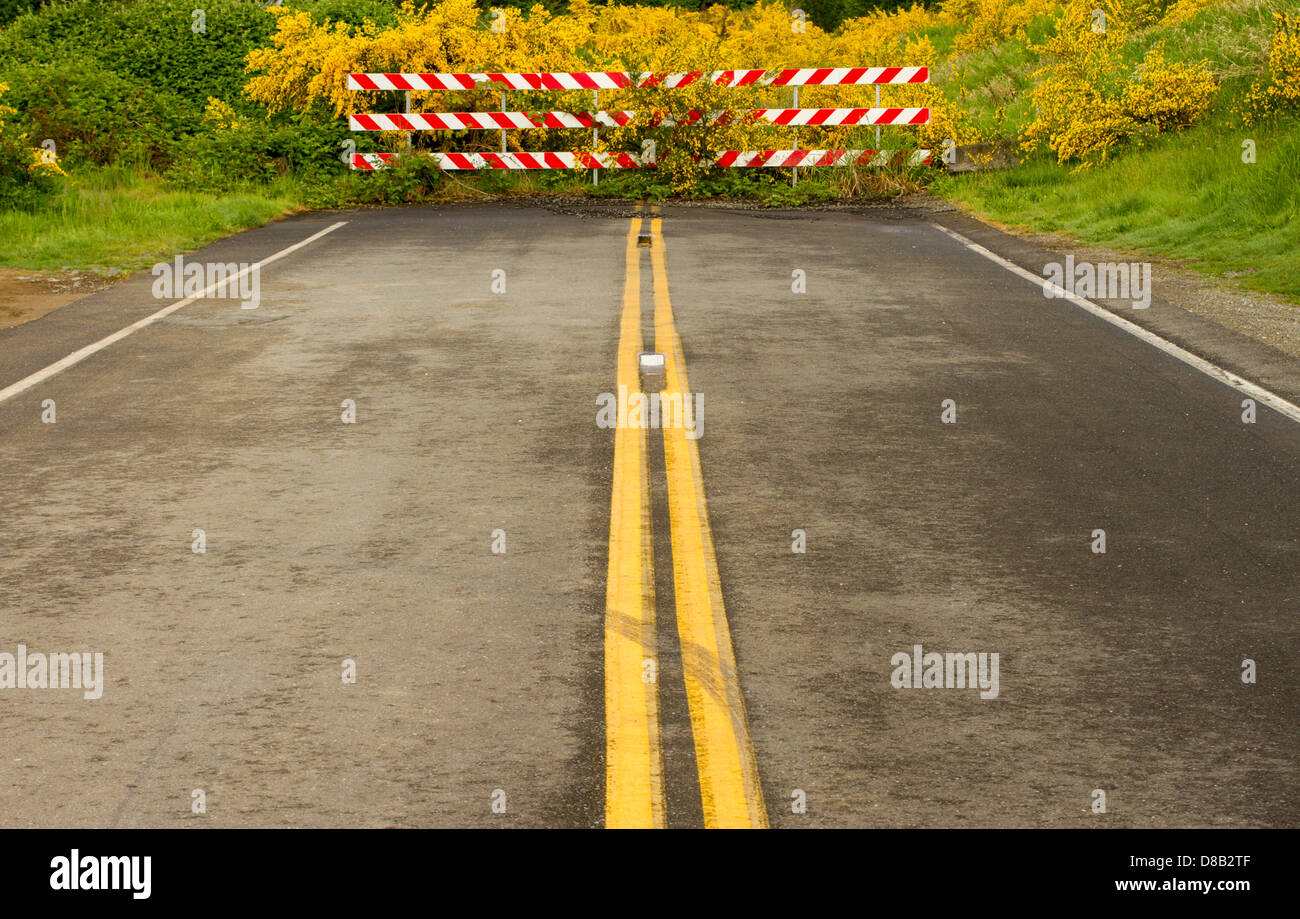 Dead end street in Olympia, Washington State, USA. Stock Photo