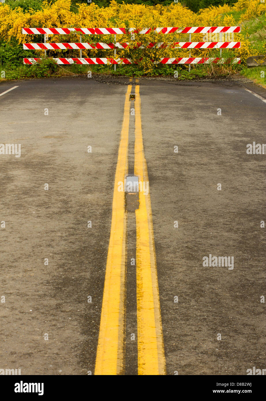 Dead end street in Olympia, Washington State, USA. Stock Photo