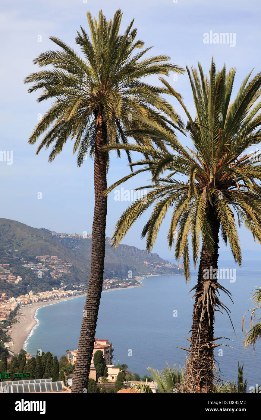 Italy, Sicily, Taormina, palm trees, landscape Stock Photo - Alamy