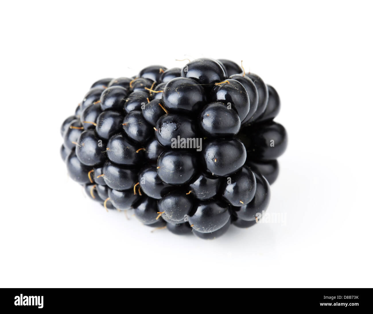 Ripe blackberry fruit. Isolated on white background Stock Photo