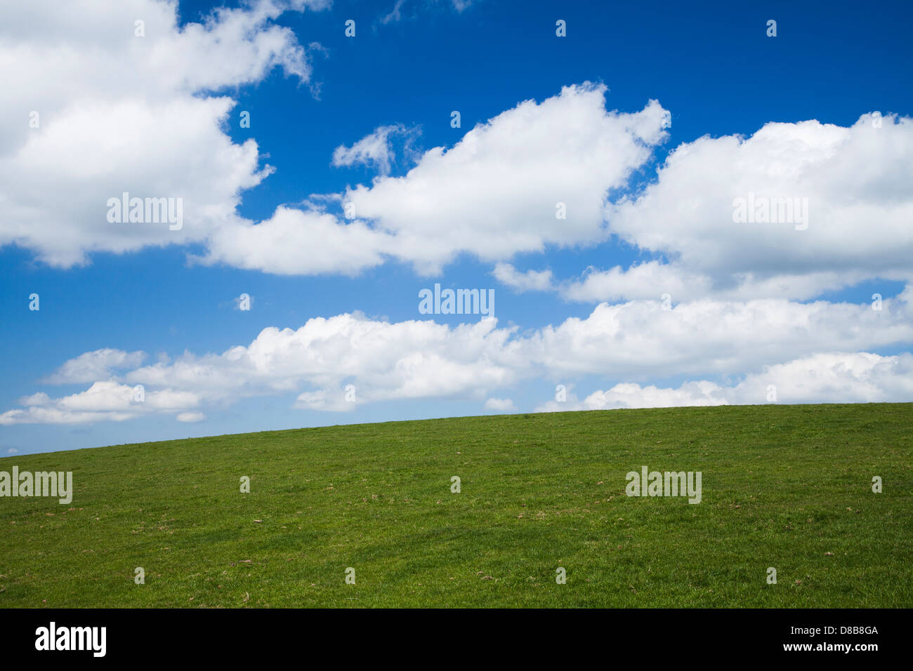 Clouds in a blue sky over green grassy field Stock Photo - Alamy