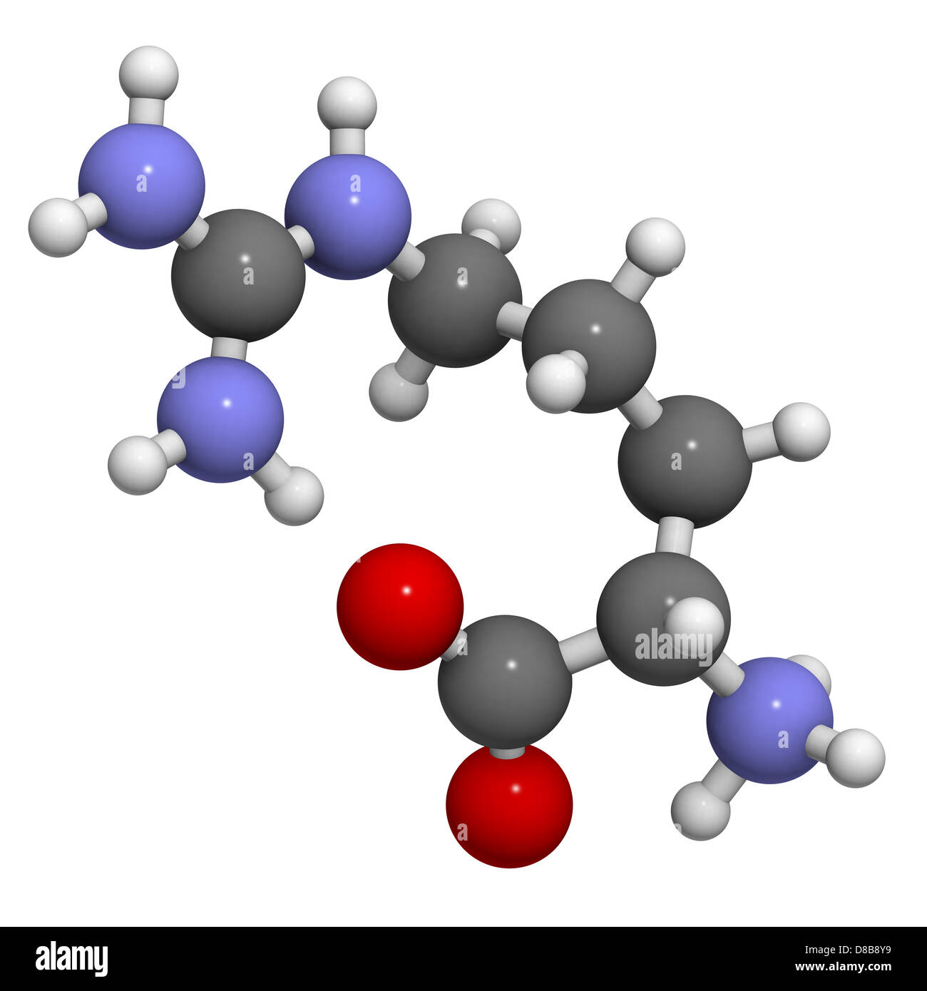 Arginine (Arg, R) amino acid, molecular model. Amino acids are the