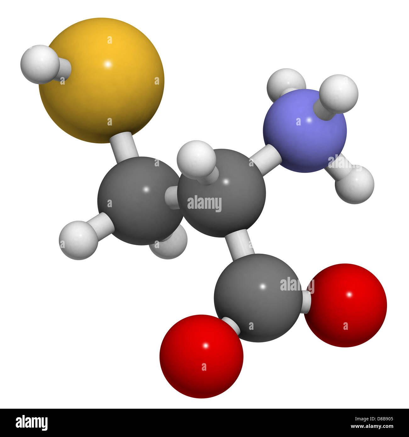 Cysteine (Cys, C) amino acid, molecular model. Amino acids are the building  blocks of all proteins Stock Photo - Alamy