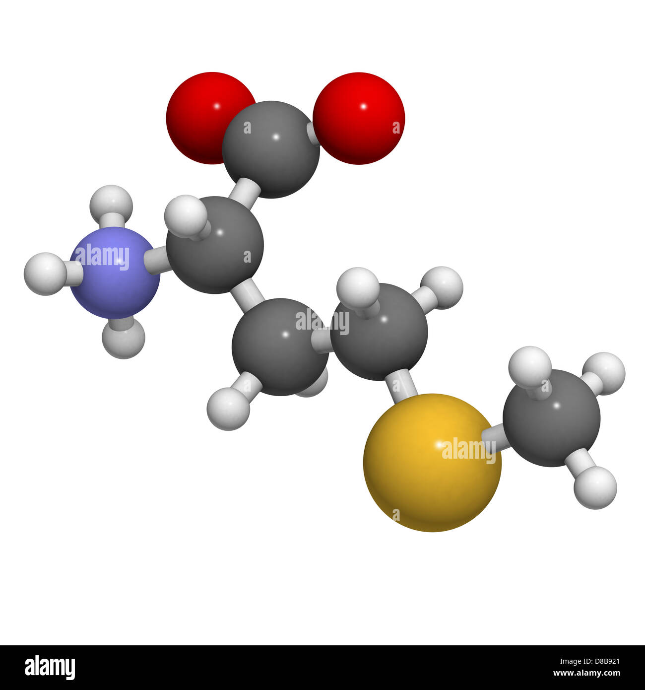 Methionine (Met, M) amino acid, molecular model. Amino acids are the  building blocks of all proteins Stock Photo - Alamy