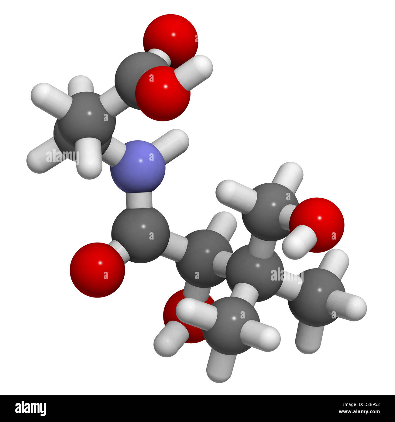 Vitamin B5 (pantothenic acid), molecular model. Atoms are represented