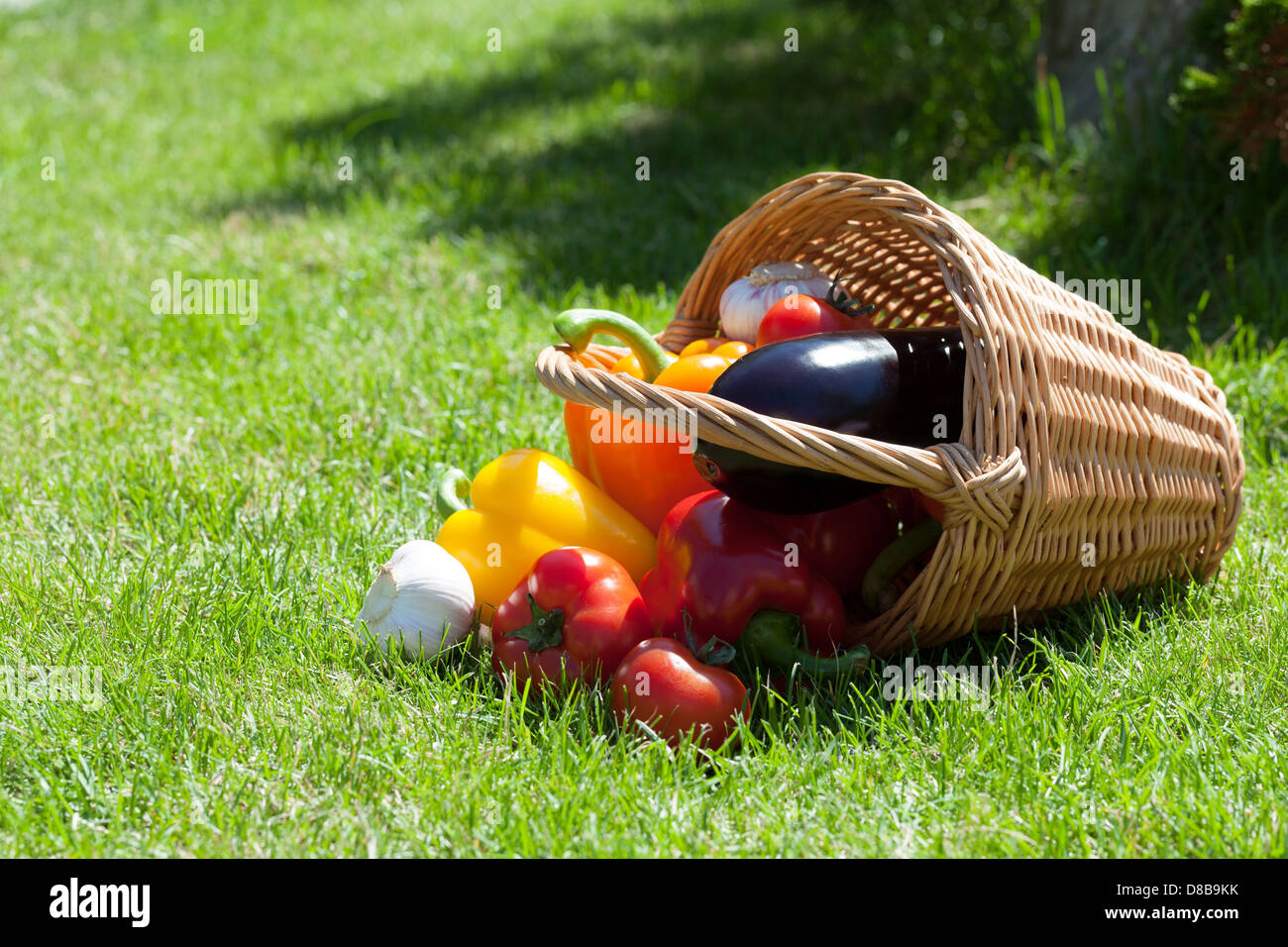 Fresh ripe vegetables in the basket on green grass Stock Photo - Alamy