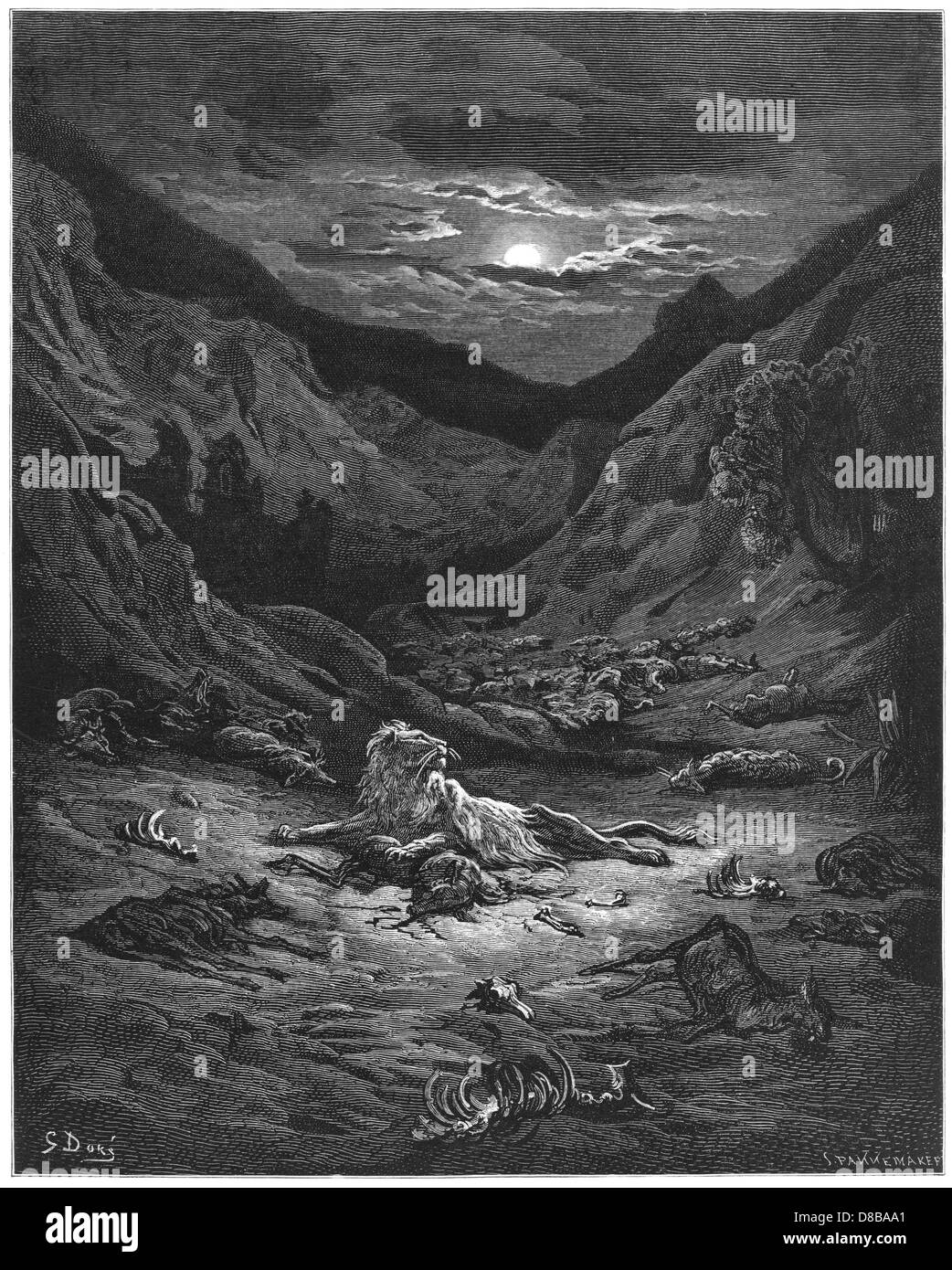 Fable the Lion Stock Photo Alamy